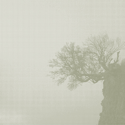 ENDURANCE